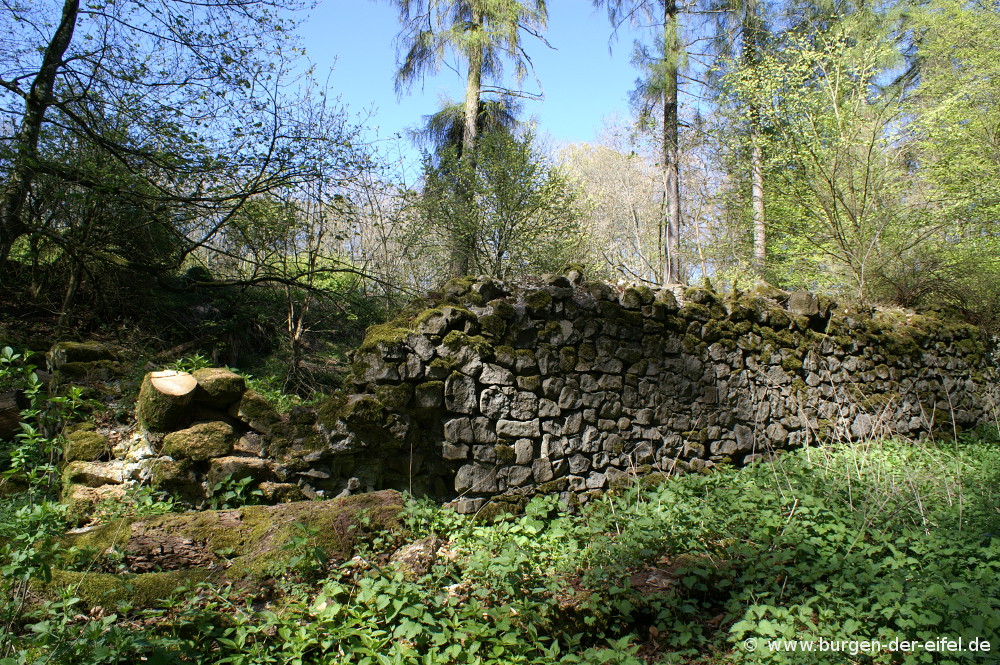 Burg Aremberg Burgen der Eifel