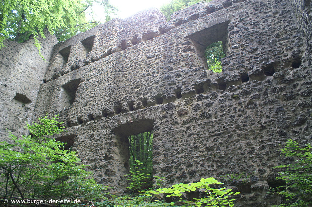 Freudenkoppe Burgen der Eifel